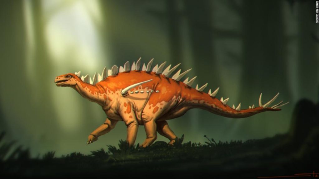 I fossili di stegosauro scoperti hanno uno "strano mix di caratteristiche"