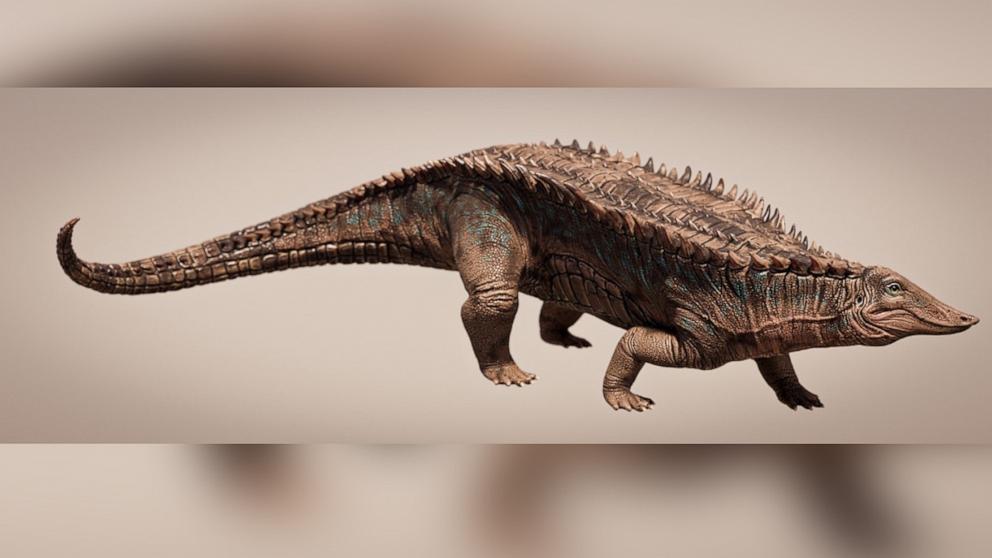 È stato identificato un antenato coccodrillo di 215 milioni di anni che è antecedente ai dinosauri
