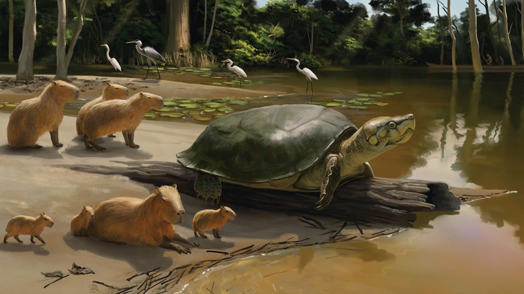 I ricercatori hanno chiamato l'antica specie di tartaruga gigante in onore di un personaggio di Stephen King che vomita l'universo