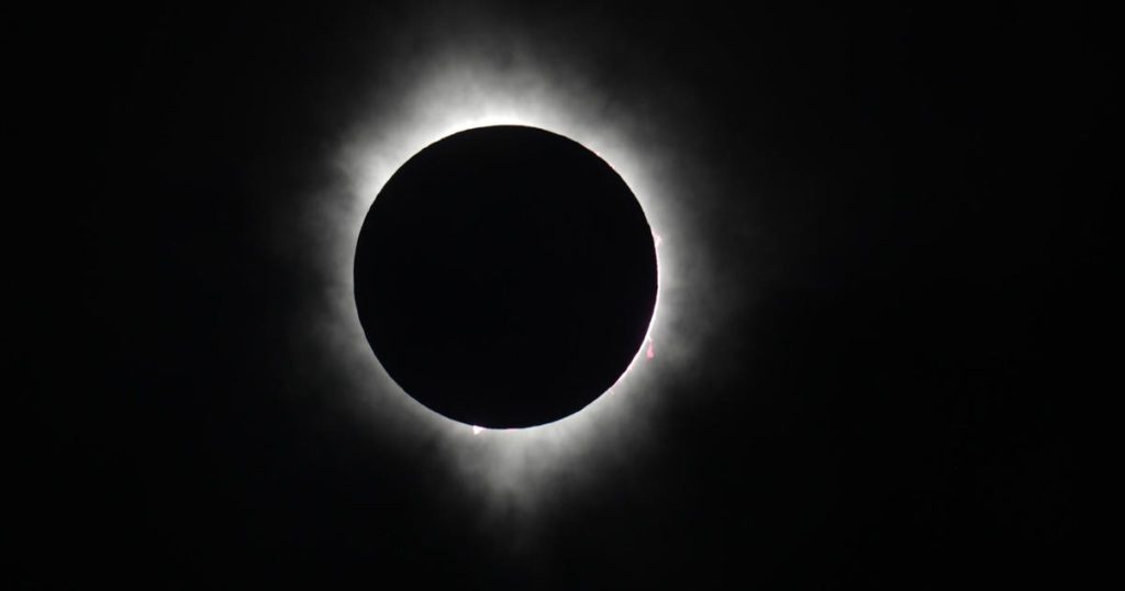 Ti sei perso l'eclissi solare totale del 2024?  Guarda qui il video dei momenti dell'evento.