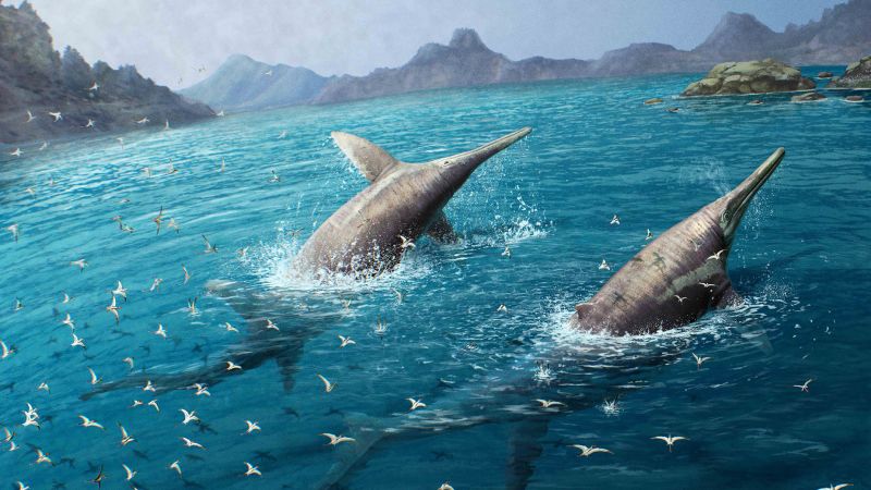 Un fossile ritrovato da un adolescente sulla spiaggia rivela un enorme rettile marino